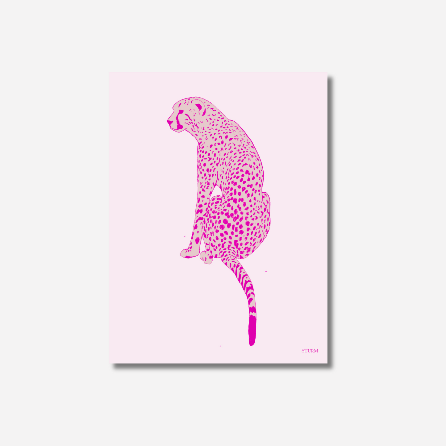 Pink Cheetah