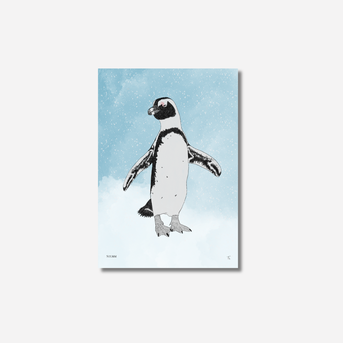African Penguin