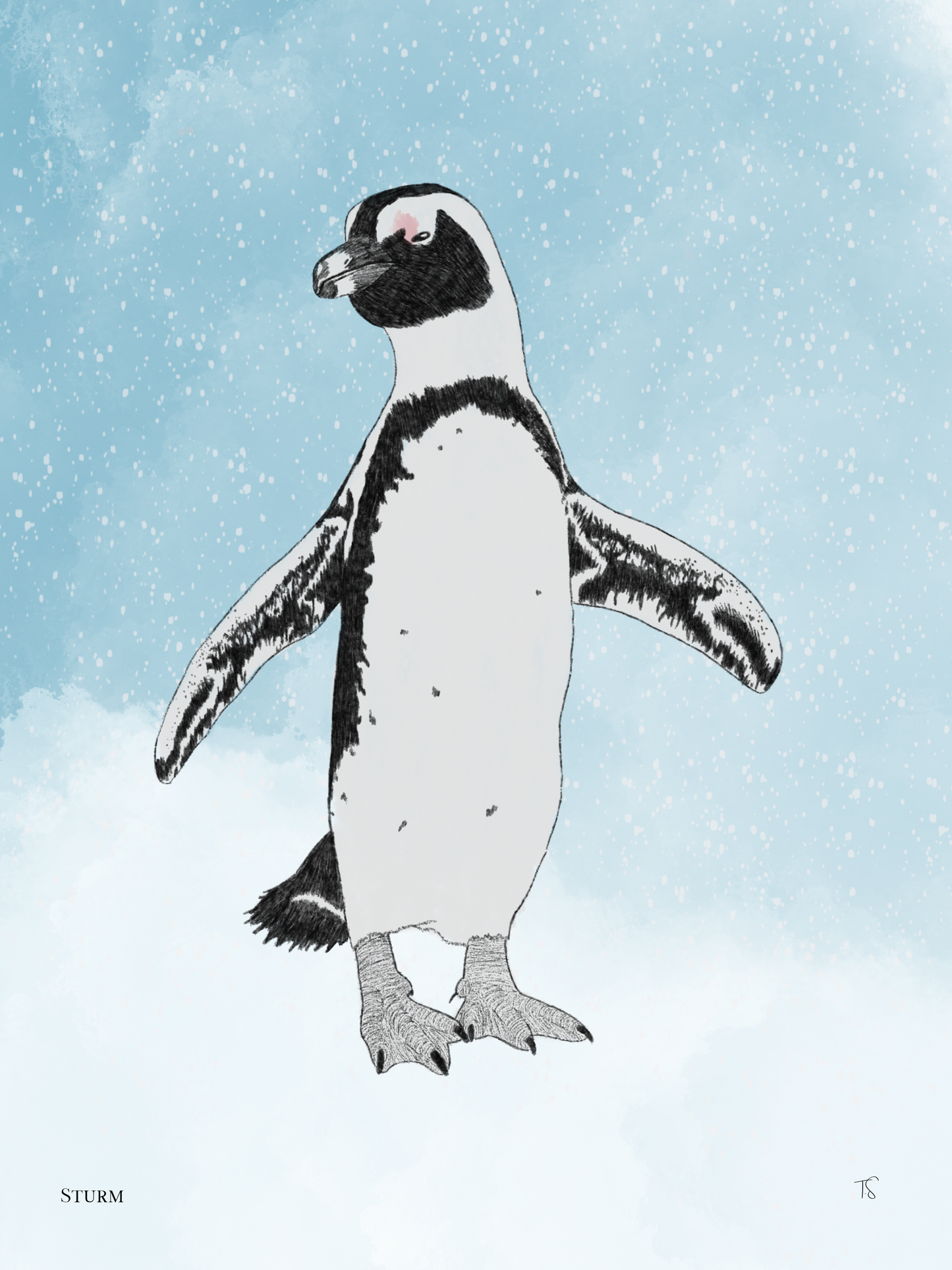 African Penguin