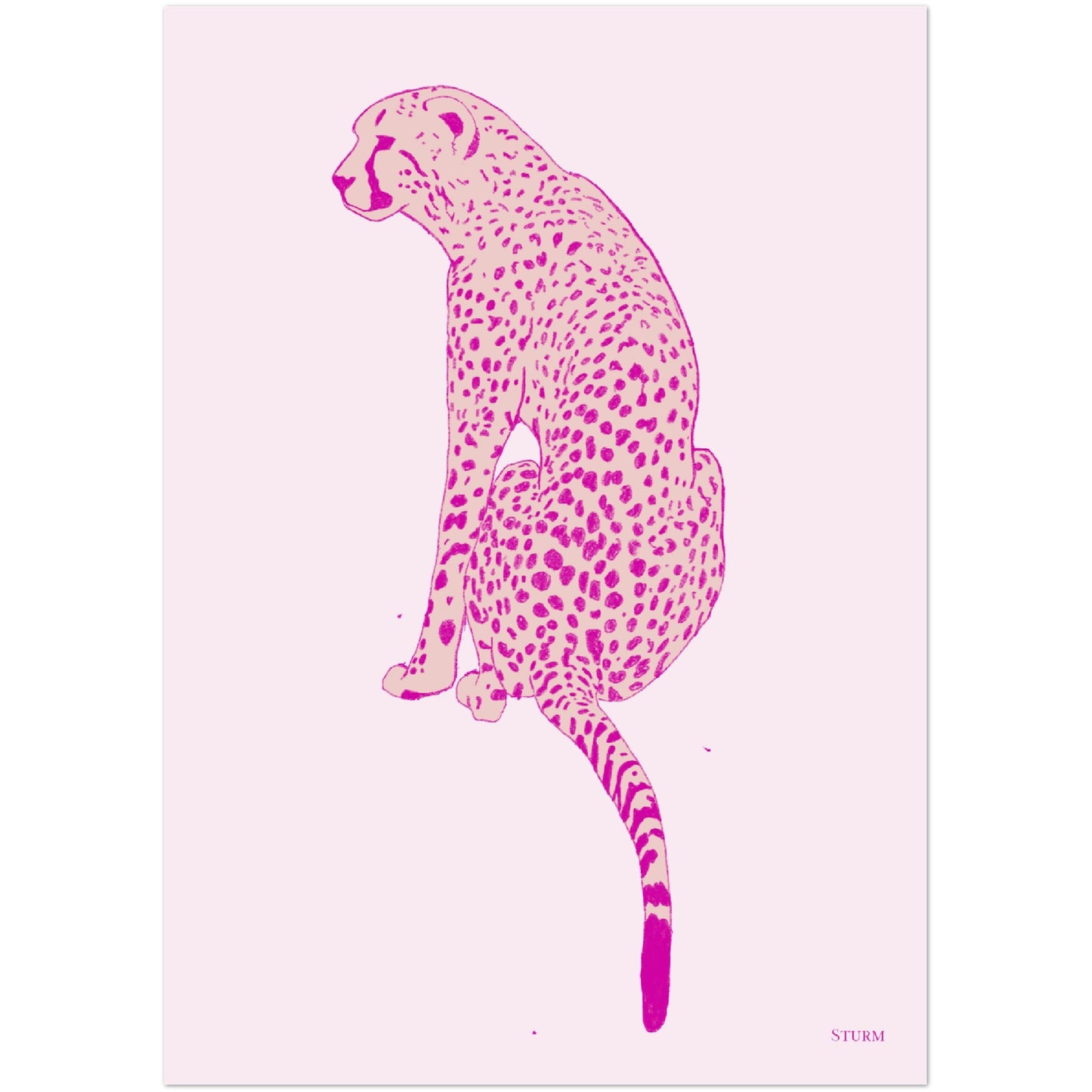 Pink Cheetah