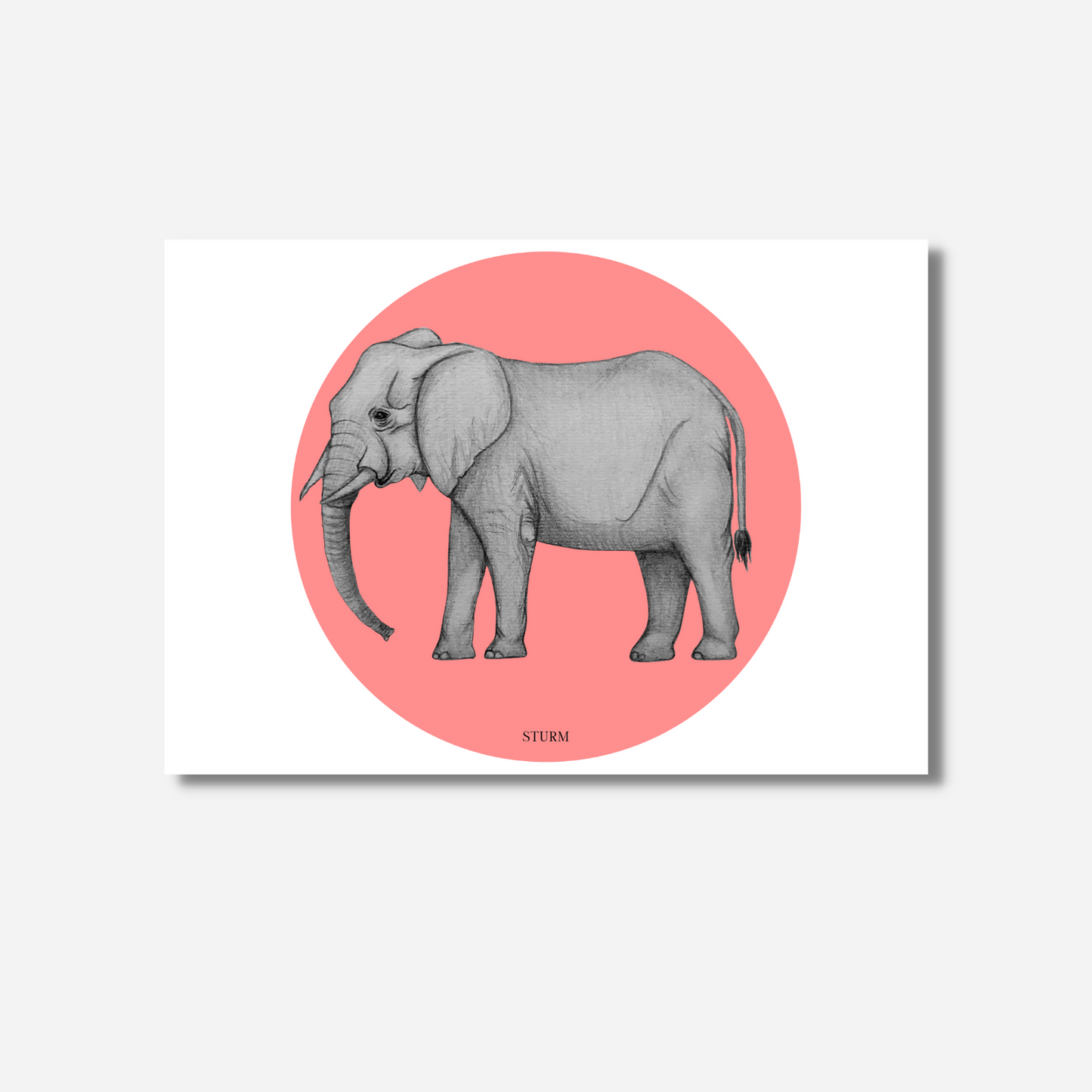 Sunset Elefant
